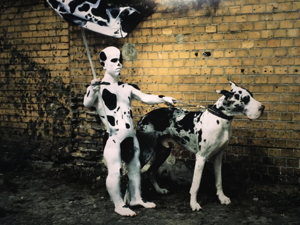 20161030_142513331_ios